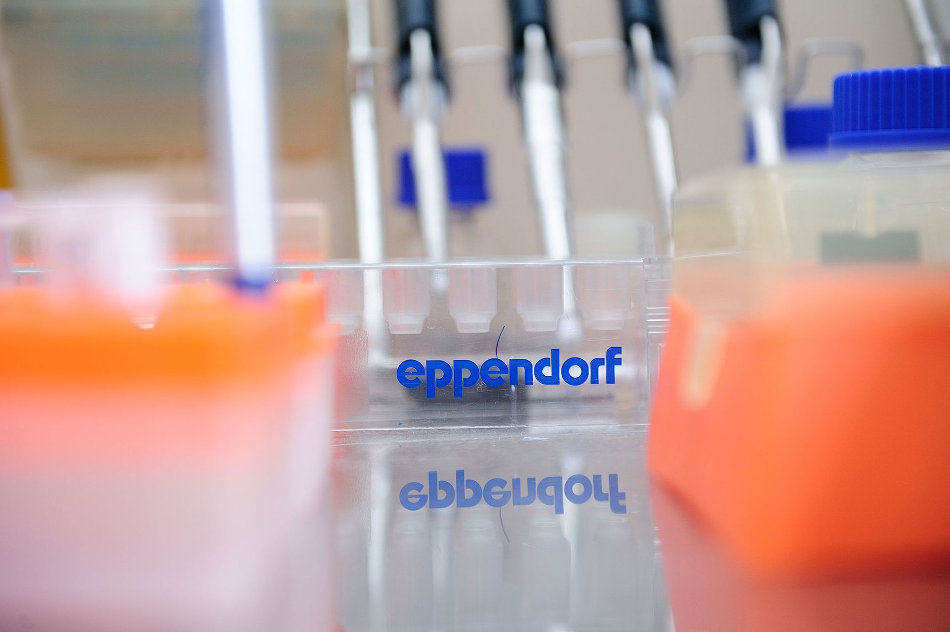 Eppendorf